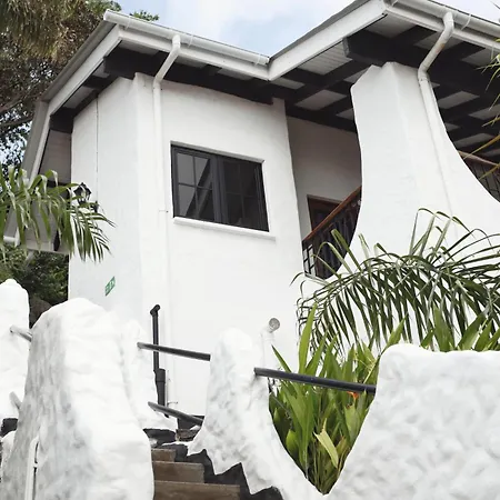 The Salty Palms Apartment